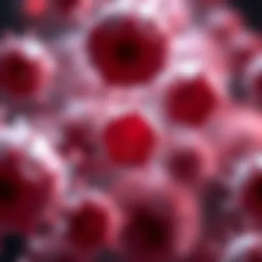 Identifying Signs of Dying Cancer Cells Introduction