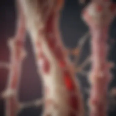 Applications in Regenerative Medicine and Immunotherapy Conceptual diagram illustrating the applications of bone marrow cells in research