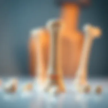 Investigating the Impact of Collagen Supplements on Bone Density Summary
