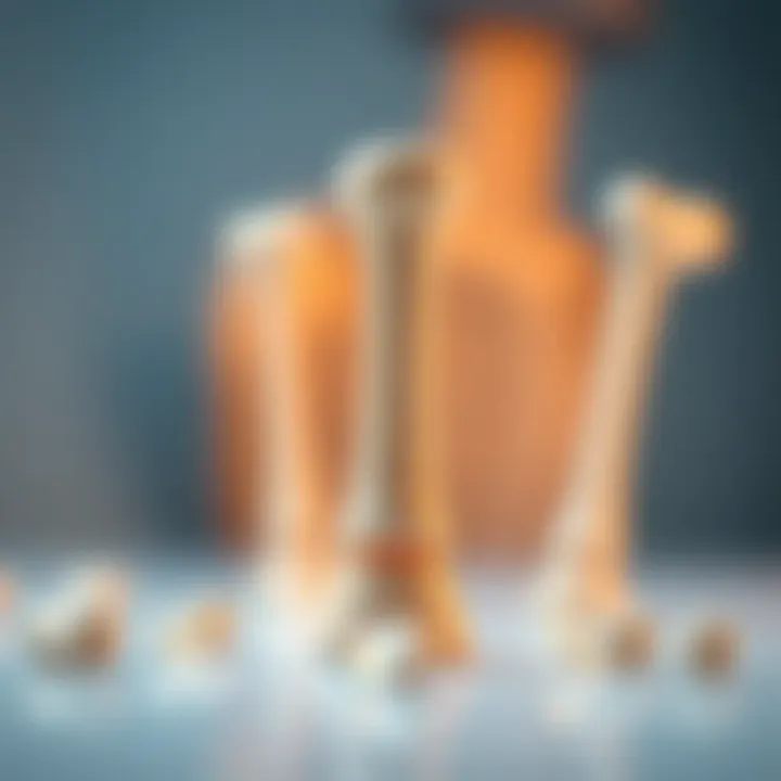 Investigating the Impact of Collagen Supplements on Bone Density Summary