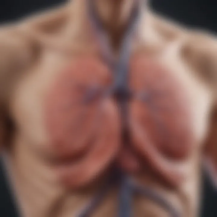 Illustration depicting elevated pulmonary artery pressure