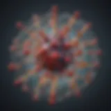 Molecular structure of isobutylamides