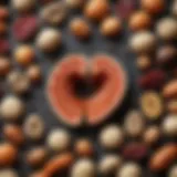 Visual representation of kidney stones alongside dietary components