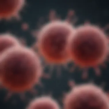 Interactions with Immune Cells Diagram showing interactions of Langerhans cells with immune cells