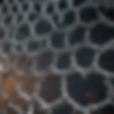 Diagram showing biological interactions influenced by lattice formations.