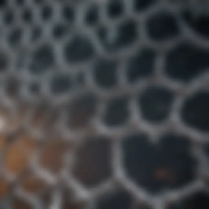Diagram showing biological interactions influenced by lattice formations.