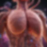 Mechanisms of breast cancer metastasis to the liver
