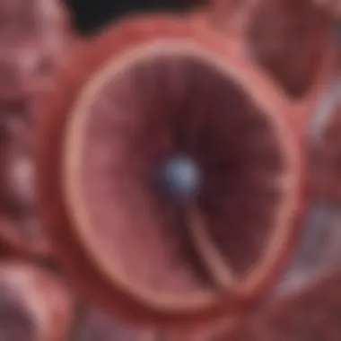 Pathological Changes in Liver Tissue Microscopic view of liver tissue highlighting pathological changes