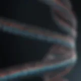Visualization of low pass genome sequencing data patterns