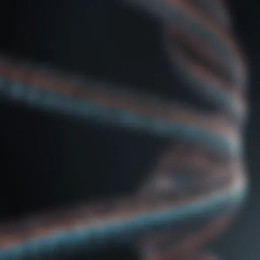 Visualization of low pass genome sequencing data patterns