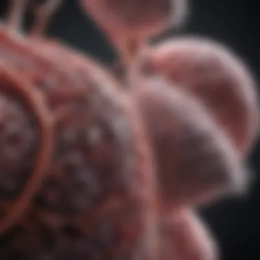 Graphical representation of lung cancer progression timelines