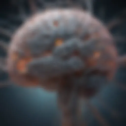An intricate diagram illustrating brain connectivity and neural pathways.