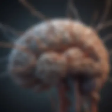 A graphical overview of neuroplasticity and its implications on brain function.