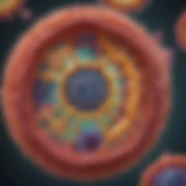 The Intricacies of Cell Structures Illustration of a cell structure highlighting organelles