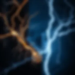 Visualization of static electricity principles