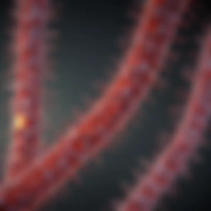 Cellular pathways activated during HIV replication