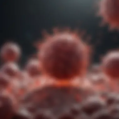 Impact of HIV on Immune Response Impact of HIV on immune response