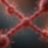 Molecular interaction of HIV with helper T cells
