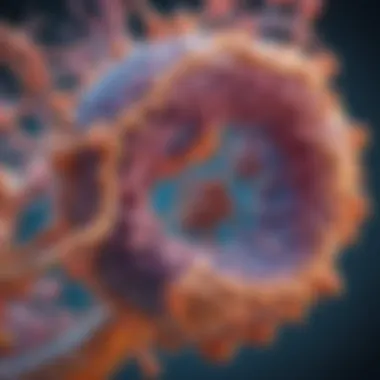 Ribosome Structure and Function Detailed illustration of ribosome structure and function