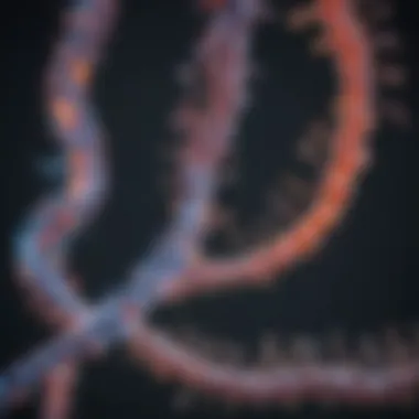 tRNA and Its Role in Translation Diagram illustrating tRNA and its role in translation