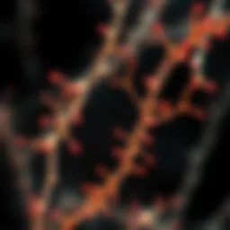 Microtubule Staining: Techniques, Applications, and Advances Introduction