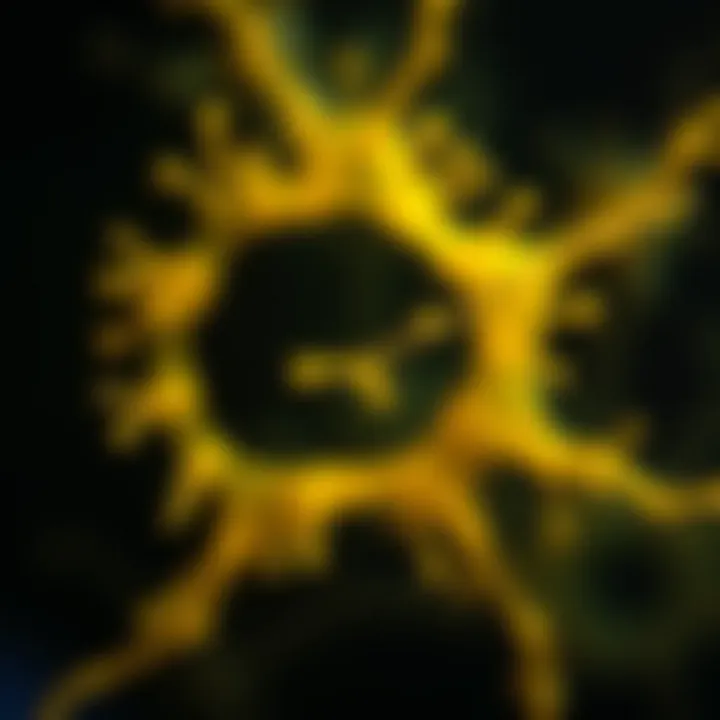 Notable Microtubule Staining: Techniques, Applications, and Advances