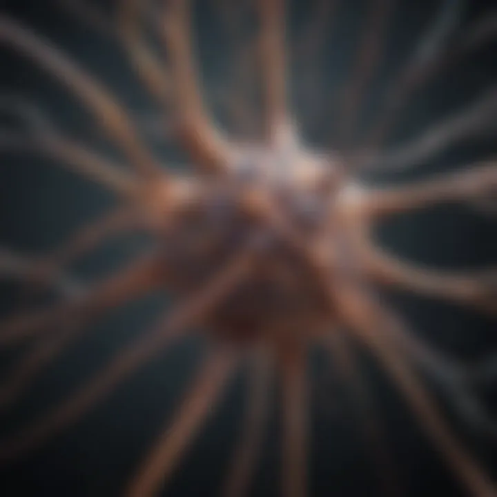 Visual representation of neural network connectivity