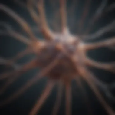 Neun Neurons in Neural Networks Visual representation of neural network connectivity