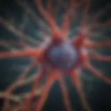 Detailed depiction of neun neuron structure