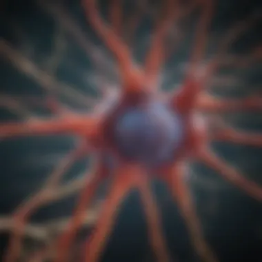 Anatomy of Neun Neurons Detailed depiction of neun neuron structure