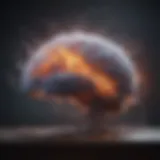 Neural pathways involved in seizure activity