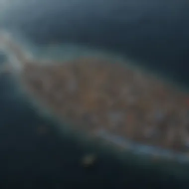 Visual Analysis of Environmental Impact Infographic illustrating the scale and impact of the Pacific Garbage Patch