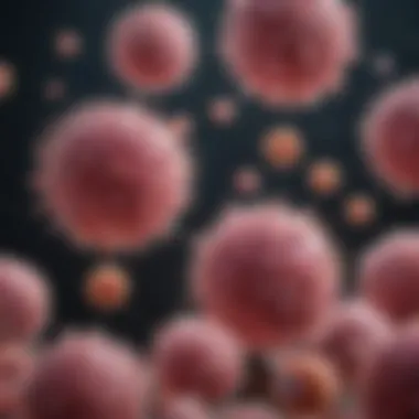 Probiotics Interacting with Immune Cells Visual representation of probiotics interacting with immune cells