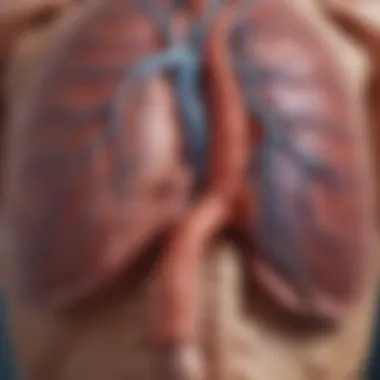 Pathophysiology of Pulmonary Embolism Diagram illustrating pathophysiology of pulmonary embolism