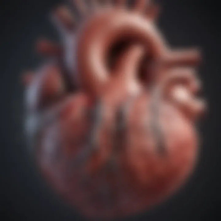 Advanced cardiac imaging technology revealing heart structure