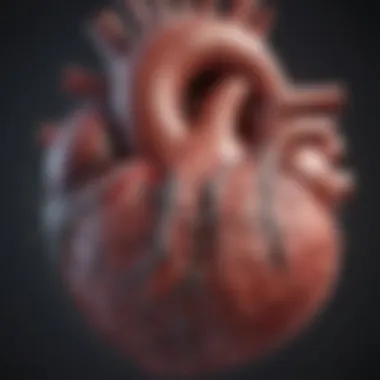 Advanced Cardiac Imaging Techniques Advanced cardiac imaging technology revealing heart structure