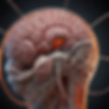 Emerging research techniques for studying cerebrospinal fluid