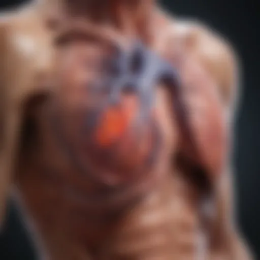 Illustration depicting the systemic effects of rheumatoid arthritis on the heart.