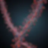 Visualization of RNA sequencing data with clustering techniques