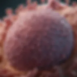 Stage 4 Epithelial Ovarian Cancer: Comprehensive Insights Introduction