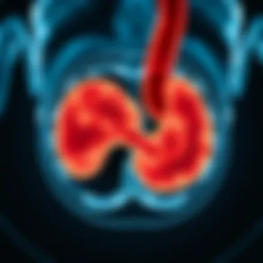 Diagnostic imaging techniques for cholangiocarcinoma