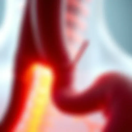 Anatomical Structure of Bile Ducts Overview of bile duct anatomy