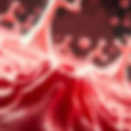 Illustration of fat cell dynamics