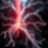 Strategies for Restoring the Myelin Sheath Introduction
