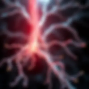 Strategies for Restoring the Myelin Sheath Introduction Strategies for Restoring the Myelin Sheath Introduction