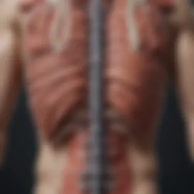 Potential Complications of Thoracic Spine Fusion Infographic detailing potential complications of thoracic spine surgery.