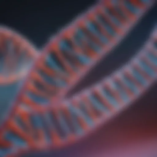 Illustration of Taq DNA polymerase structure