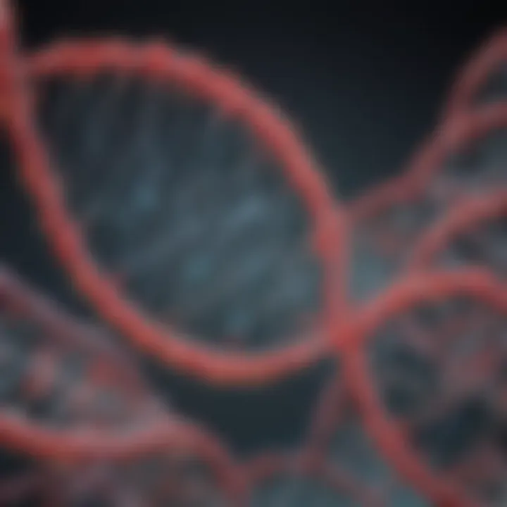 Illustration of Taq polymerase applications in research