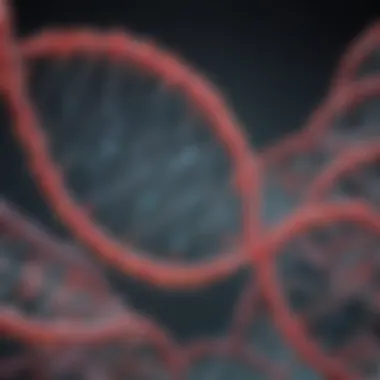 Diverse Applications of Taq DNA Polymerase in Molecular Research Illustration of Taq polymerase applications in research