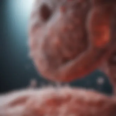Efficacy of TB Immunotherapy: Research Insights Research findings on TB immunotherapy efficacy